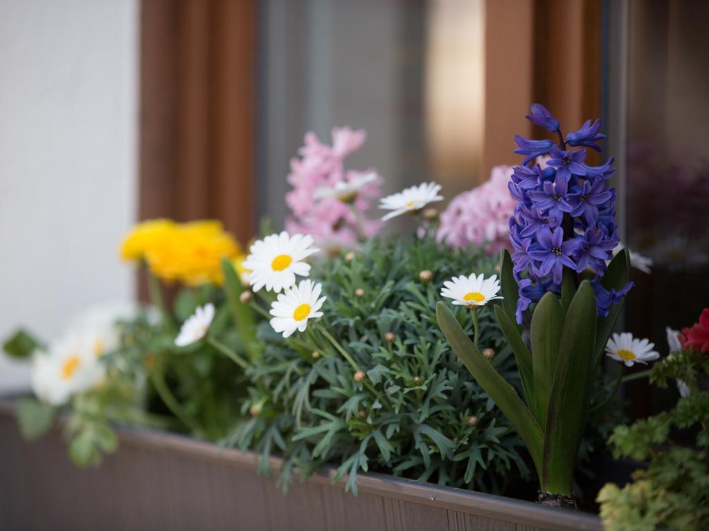 Living Timeless - Ruster Drachennest - Europa Park Apartment ภายนอก รูปภาพ